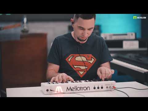 Mellotron MINI PRESET SOUNDS