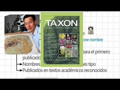 Video: ¿Por qué nuestro sistema de nomenclatura es una nomenclatura binomial?