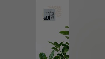 راحة نفسية #قران_كريم #إستمع_وتدبر #تلاوة_خاشعة #اكتب_شي_تؤجر_عليه #راحة_نفسية