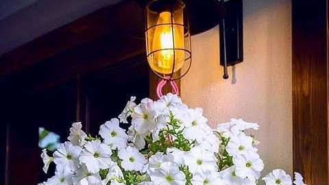 قرآن كريم ll القارئ ياسر الزيلعي. { محمد رسول الله} سورة الفتح