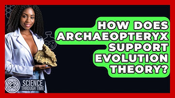 How Does Archaeopteryx Support Evolution Theory? - Science Through Time