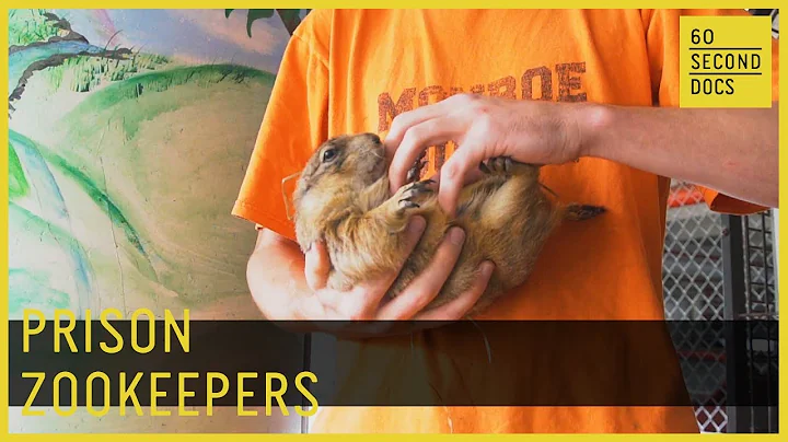 Prison Zookeepers | Stock Island Detention Center ...