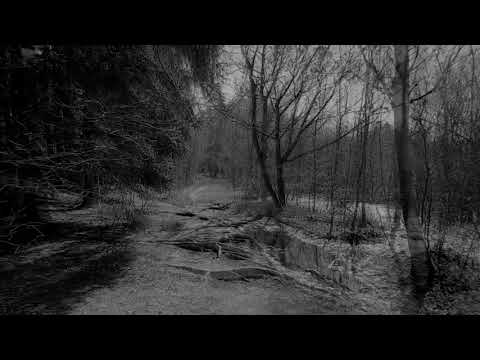 Mononow - Blurred path