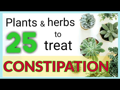 Herbs to assist Bowel Motions