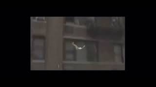 Kermit Commits Suicide