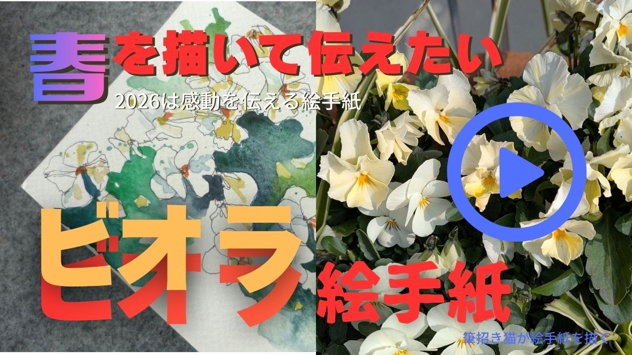 春一番が吹きました。春を感じる風の中に色取りどりの「びおら」咲いています。オフホワイトの花を絵手紙にしてみました。