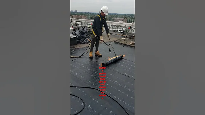 puro roof raza
