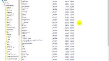 Directory Opus=folder size=important
