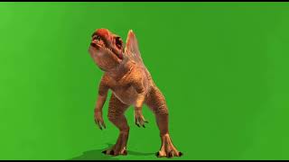Green screen for your now