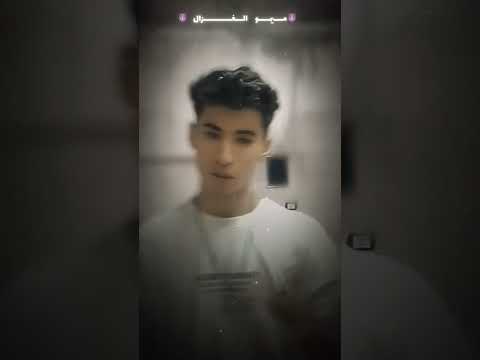 فرد وعركه وهلوش