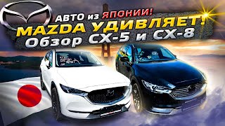 Обзор Mazda CX5 и CX8 на правом. Эти авто меня УДИВИЛИ!