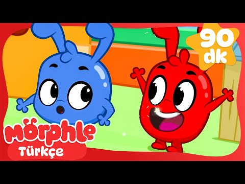 Morphle Ailesi 👨‍👩‍👧‍👦 | Çocuk Çizgi Filmleri | Morphle Türkçe