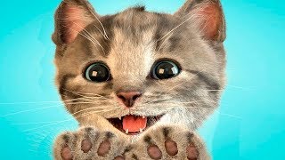 Мой Маленький Котенок.Любимый Питомец.Симулятор Котика.Игровой Мультик для Детей Мой Маленький Котенок.Любимый Питомец.Симулятор Котика.Игровой Мультик для Детей
