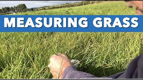 Beginners guide to measuring grass