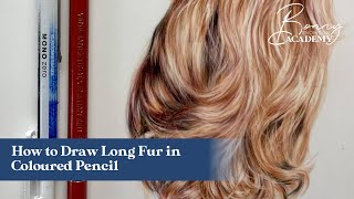 How to Draw Realistic Long Fur in Coloured Pencil | Tips for Artists