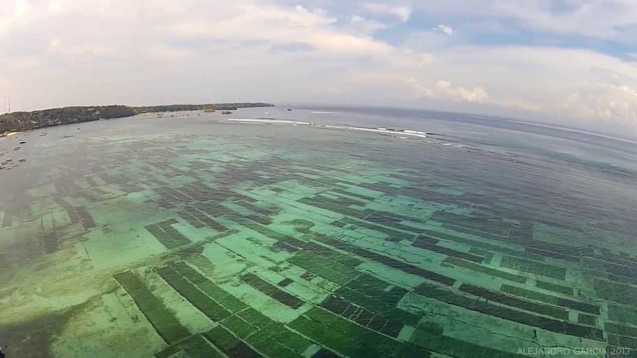 Lembongan seaweed farms seen from the air YouTube