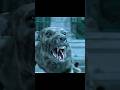 😲 Zombie Dogs Vs. Will Smith &amp; Sam 🔥🔥| Movie Scene #willsmith  #zombies #predator #shorts