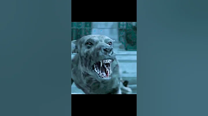 😲 Zombie Dogs Vs. Will Smith & Sam 🔥🔥| Movie Scene #willsmith  #zombies #predator #shorts - DayDayNews