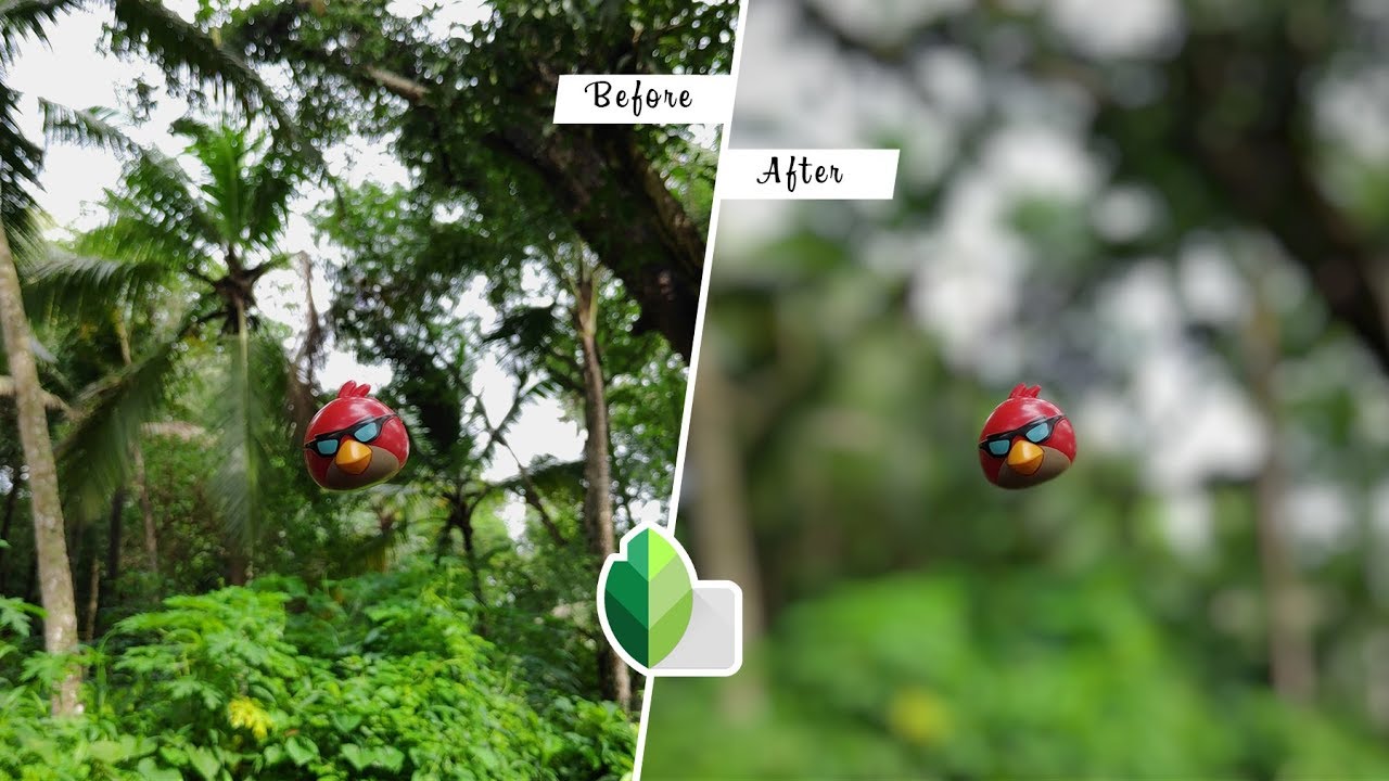 Details 277 how to blur background in snapseed