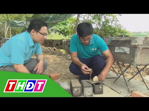 Video Tạo ong chúa trong hộp mini, một cách làm mới | Khoa... - youtube