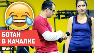 СТОЯК 7 - БАНАН ХОЧЕШЬ БОТАН В КАЧАЛКЕ ПРАНК NERD THE GYM СТОЯК 7 - БАНАН ХОЧЕШЬ БОТАН В КАЧАЛКЕ ПРАНК NERD THE GYM