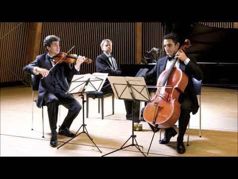 Brahms "Piano Trio No 3" Trio Opus 8