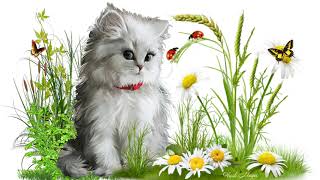 Кошка на полянке  -  Футаж для видео роликов