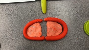 HIV-1 Protease Enzyme Exlained