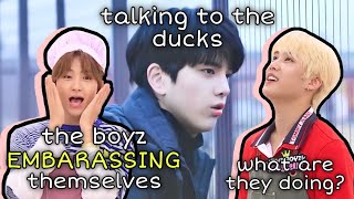 Questionable and Funny Things THE BOYZ Have Done That Will Make You 