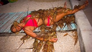 SPINY LOBSTER: CATCHING, CLEANING, COOKING, EATING!! tasty tuesday 27