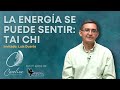 Tai Chi & Chi Kung | Luis Duarte