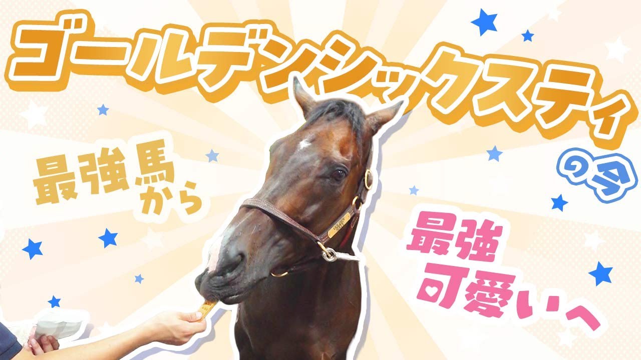 【ギャップ萌え】ゴールデンシックスティ、いまはクッキー大好き“癒しキャラ”に！？ 最強馬が“最強可愛い”へ！