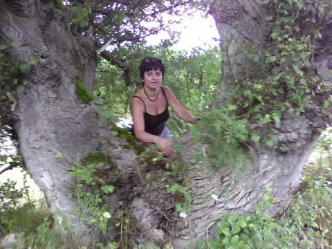 ქეთი ზარიძე