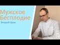 Мужское бесплодие. 2/6 Урок