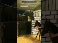 تصرفات مختلفه بعالم الخيل ٦٠شو مع الدكتور حاتم ستين تصرفات مختلفه بعالم الخيل ٦٠شو مع الدكتور حاتم ستين