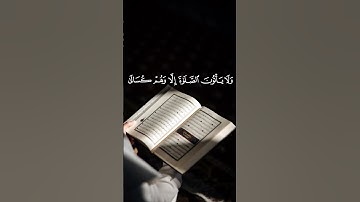 سورة التوبة #ماهر_المعيقلي #القرآن_الكريم #اكسبلور #foryou
