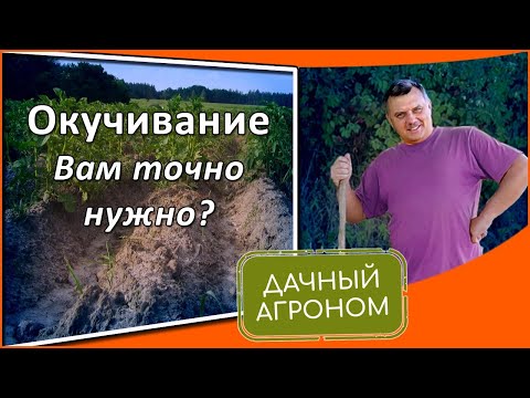 Видео: Окучивание картофеля – советы о том, когда укрывать растения картофеля