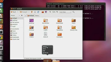 Ubuntu 11.04 Unity test