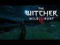 ЁЯМЩ Witcher 3 Ambient Sleep Music For Deep Relaxation Calm Witcher Sleep ЁЯМЩ Witcher 3 Ambient Sleep Music For Deep Relaxation Calm Witcher Sleep