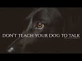 "Don't teach your dog to talk" Creepypasta
