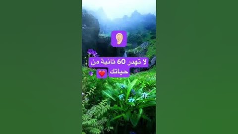 #اكسبلور #لايك #تلاوة_خاشعة #تيك_توك #ترند #explore #حالات_واتس #راحة_نفسية #صباح_الخير #اقتباسات