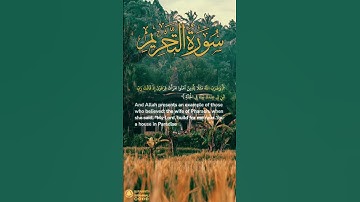 سورة التحريم آية ١١ | ﴿ وضرب الله مثلا للذين آمنوا امرأت فرعون ﴾ | Surah At Tahrim Ayah 11
