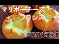 [自家製酵母 06] ハードパン / 加水70% / マリボーチーズフランス / デンマーク産の美味しいチーズ溢れるハードパン / 自家製酵母で作るパン / ボウルひとつで生地作り