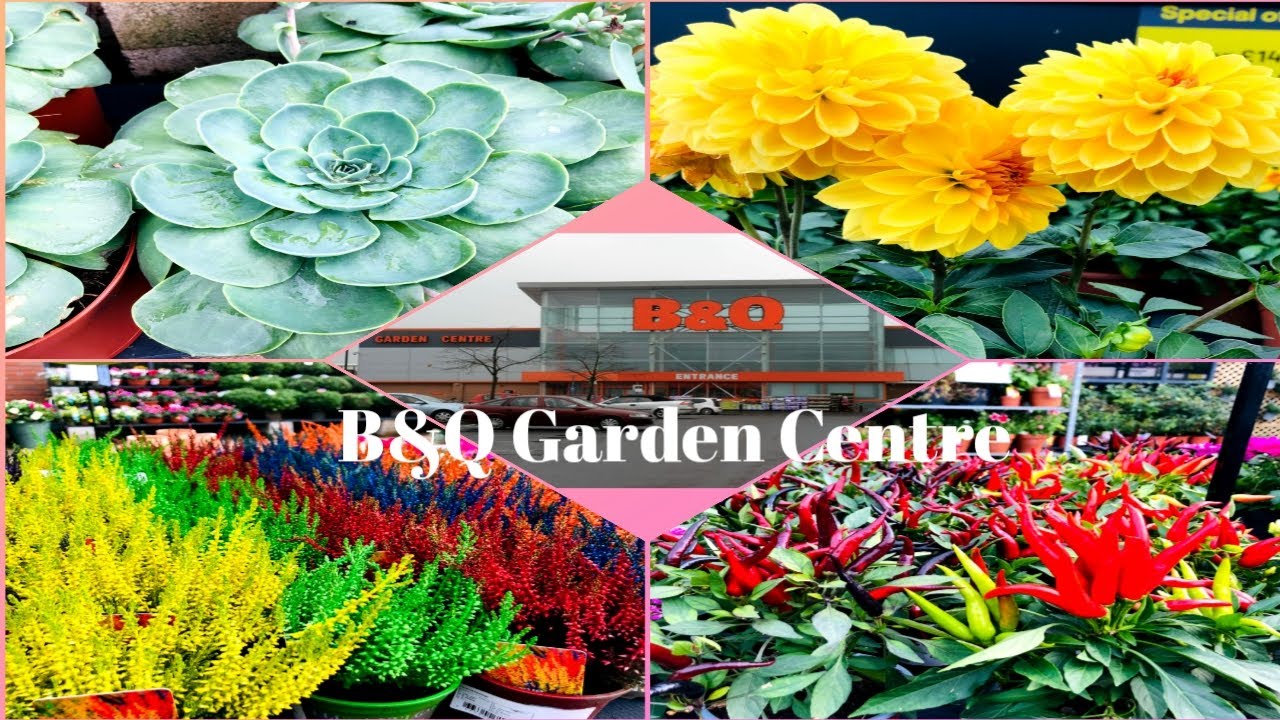 B&Q Garden centreExplore B&Q Garden Center YouTube