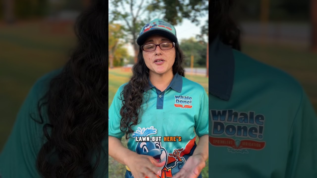 How Much Does a French Drain Cost in North Texas? The Real Answer!