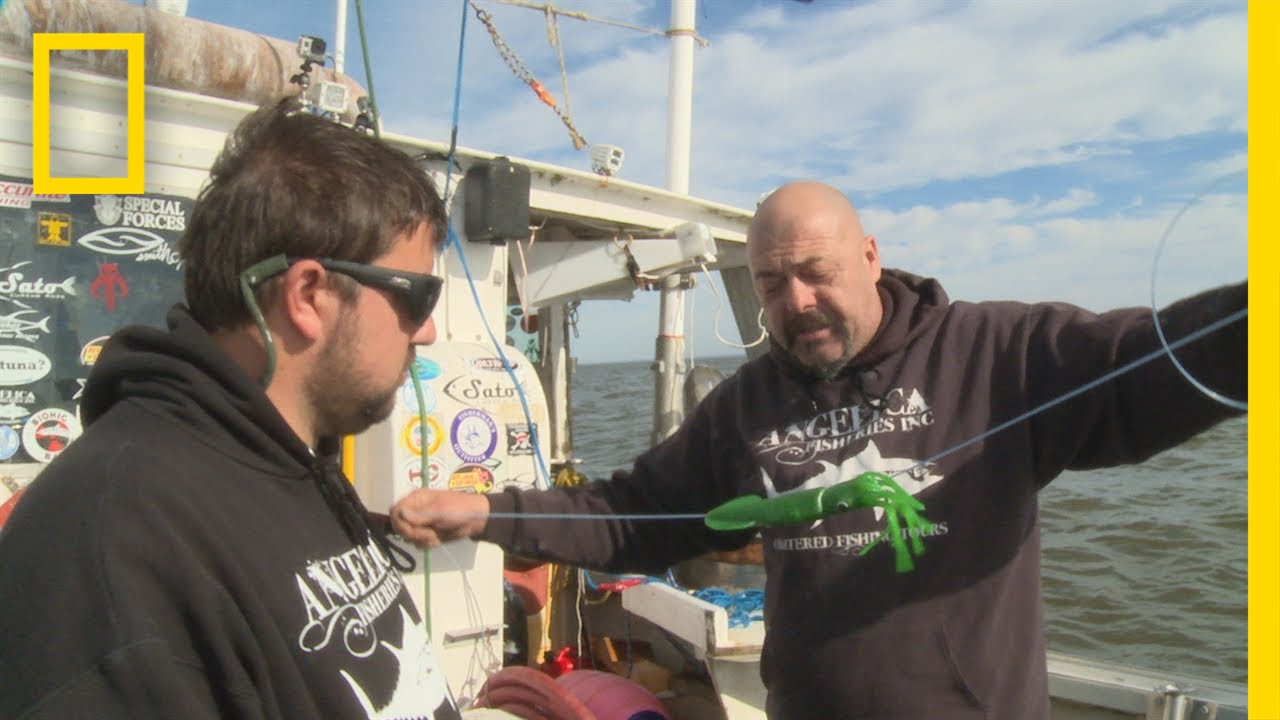 Fishing Tips: How to Rig a Squid  Wicked Tuna: Outer Banks 