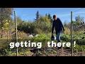 Soft Fruit Garden Transformation | Plus Autumn Planting &amp; First Frost Preparation