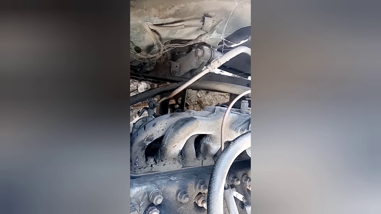 Газель капсула времени