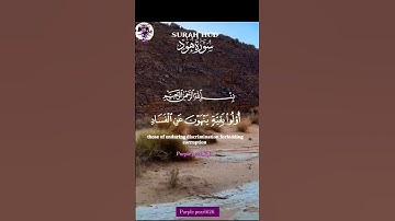 #القرءان_الكريم #راحة_نفسية #ايات_قرانية_قصيرة #إستخارة #القارئ #صوت_مريح #صوت_جميل #الرقية_الشرعية