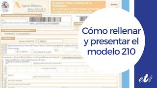 🖊 Cómo rellenar y presentar el modelo 210 por internet